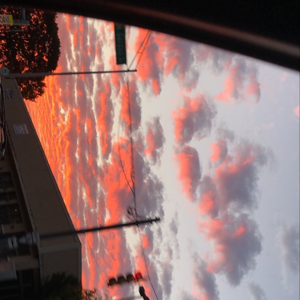 Meet your Posher, Isabella kashmir